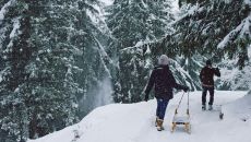 Experiences 1 The Cambrian 2025