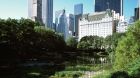 Central Park view of the hotel