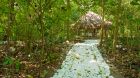 outdoor forest massage