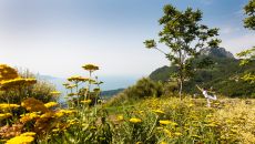 45 The Park The Centre Lefay Lago di Garda