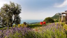 46 The Park Red Phoenix Lefay Lago di Garda