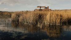 Titilaka Titilaka 40