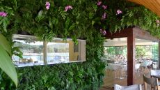dining living wall