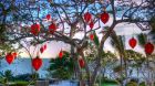 garden detail at Banyan Tree Cabo Marques
