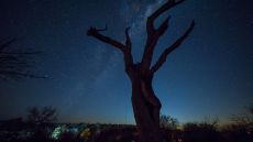 constellations at Royal Madikwe