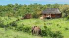 Luxury Suite wildlife at Royal Madikwe
