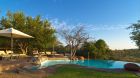 outdoor pool at Royal Madikwe