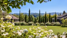 Cypress Garden 2353 at Rosewood Sand Hill