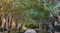 Cypress Garden 2508 at Rosewood Sand Hill