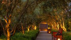 Olive Tree Garden Path at Rosewood Sand Hill