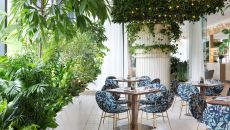 Botanist Fairmont Pacific Rim