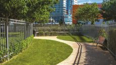 Dog Park 6016x4016 Vdara