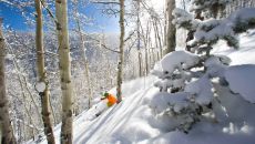 VAI 493 Four Seasons Resort Vail