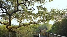  Destination  Four  Seasons  Safari  Lodge  Serengeti.