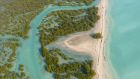 Aerial View Lagoon Mangroves