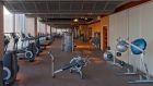 wellness fitness center