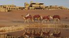 water falaj camels