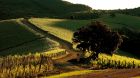 hotel vineyard