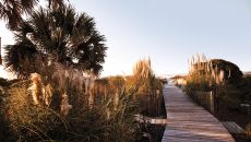 Beach Access Path at Wild Dunes Resort