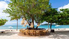 14. Hermitage Bay Tree Bar at Hermitage Bay