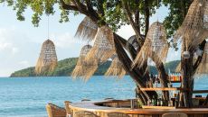 15. Hermitage Bay Tree Bar at Hermitage Bay