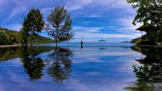 outdoor pool beach view