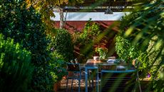 garden seating at Jardin Escondido