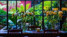 dining table at Jardin Escondido
