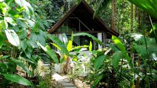 Oxygen  Jungle  Villas  Costa  Rica  Jungle  Villa 