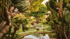 Tropical gardens at Don Carlos Marbella