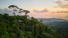 DJI 20250211173928 0546 D at Rancho Pacifico