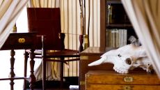 bedroom detail at San Camp