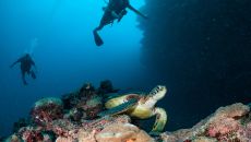 Scuba Diving Intercontinental Fiji Golf Resort 2025