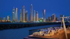 One And Only  The Palm  