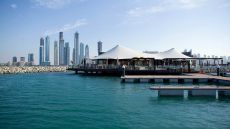 One And Only  The Palm  