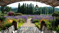 garden Coquillade Provence 2025