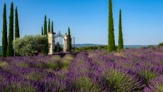 gardens Coquillade Provence 2025