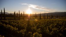 sunset Coquillade Provence 2025