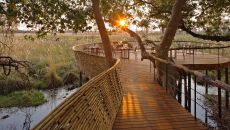 Viewing deck and Beyond Sandibe Sandibe Okavango Safari Lodge