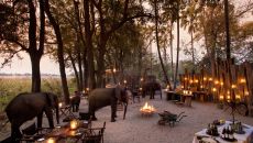 Night dining boma and Beyond Sandibe Sandibe Okavango Safari Lodge
