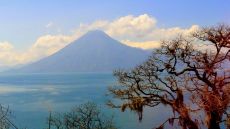 view from Nature Reserve