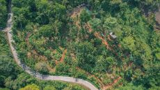 Iris Farm Tour at Conrad Koh Samui