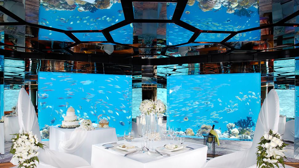 https://cdn.kiwicollection.com/media/property/PR008635/xl/008635-07-_Sea_underwater_restaurant_wedding.jpg