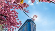 Ext1 at Sofitel Luxembourg Le Grand Ducal