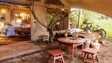 Pine Shelter 11 at Areias do Seixo