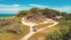 Pine Shelter 14 at Areias do Seixo