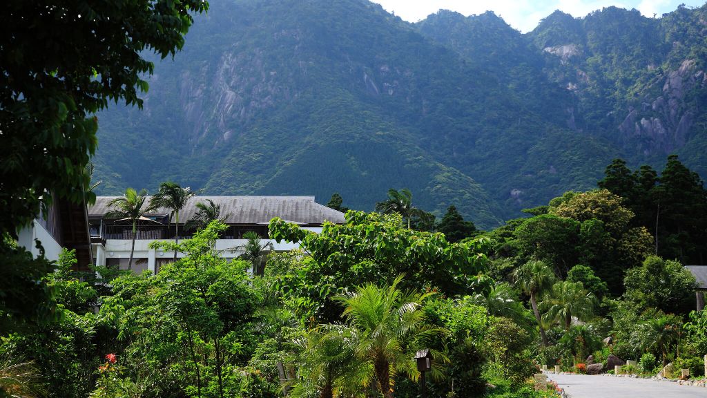 Sankara Hotel Spa Yakushima Island Kagoshima Prefecture Resort Aerial Shot
