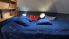 Tree Hotel ufo int 4