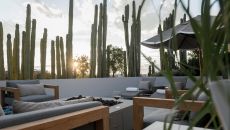 OWNER C 46 at Hotel Matilda