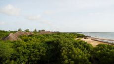 aerial view of Red Pepper House